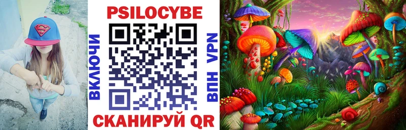 цены наркотик  shop наркотические препараты  Псилоцибиновые грибы мухоморы  Протвино 